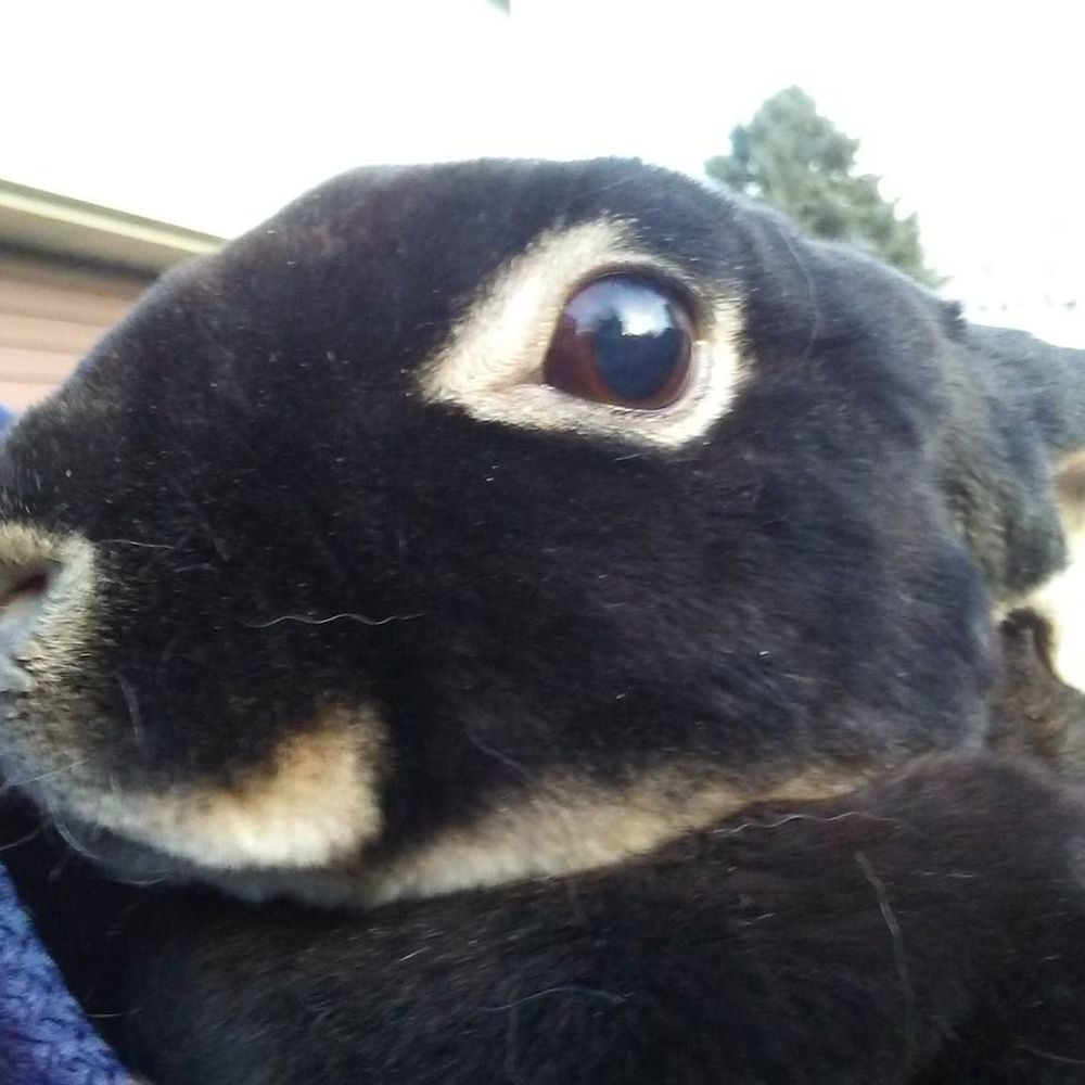 Meet your Posher, Denise